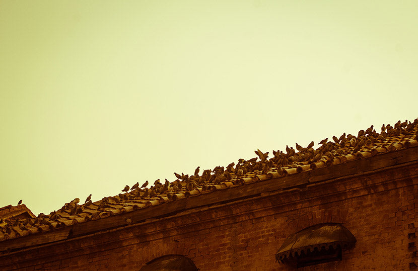 Lahore The Heart of Hand Embroideries