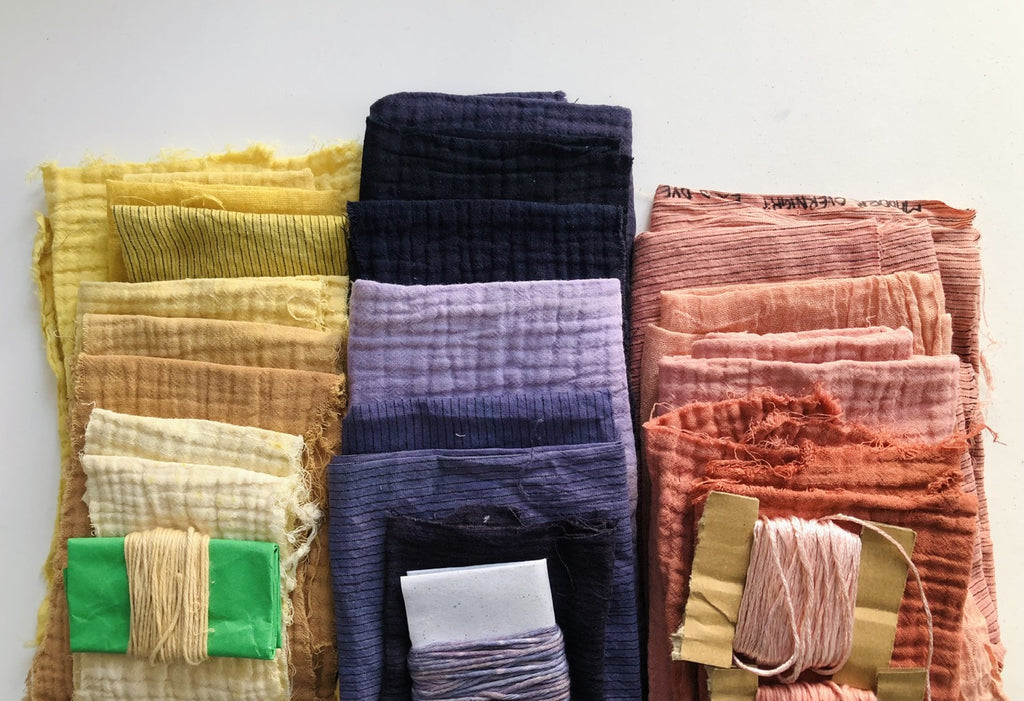 Exploring the World of Natural Dyes: Madder Roots, Pomegranate Rind, Logwood, and some Fugitive Dye Flowers