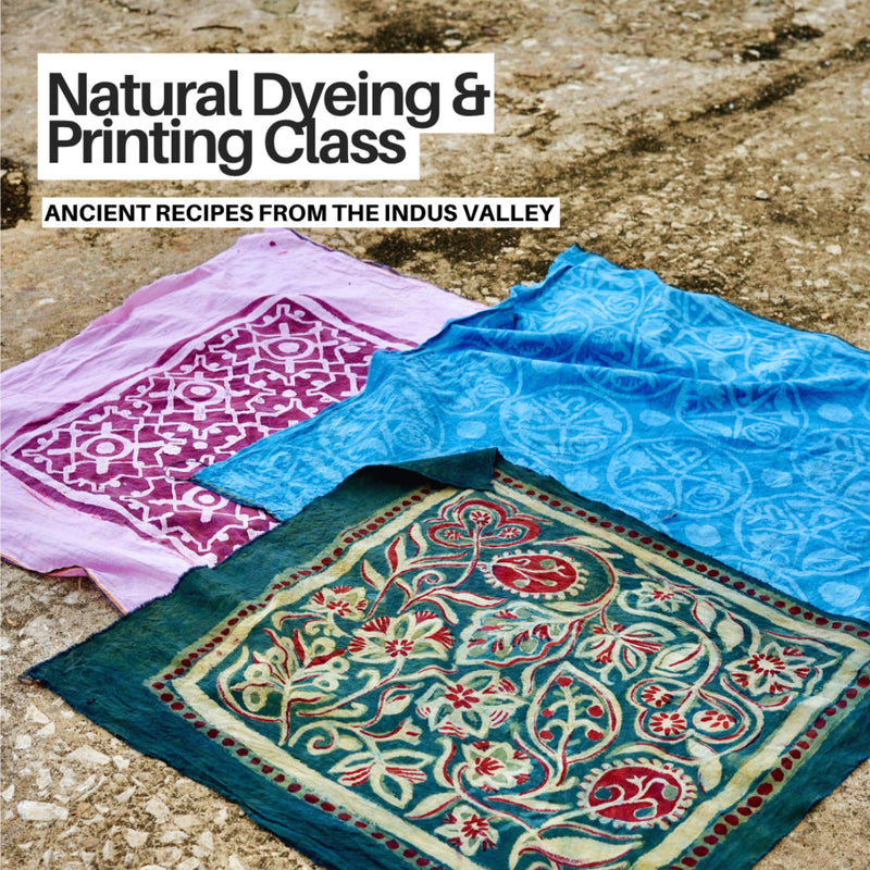 Dyeing & Printing with Natural Dyes Two-Day Workshop at Startup Barreiro
